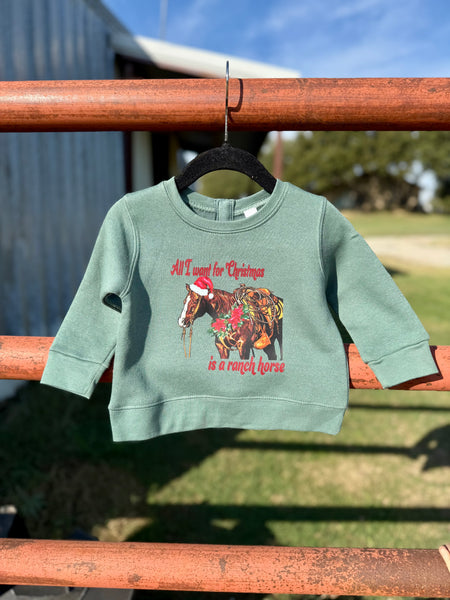 All I Want for Christmas is a Ranch Horse