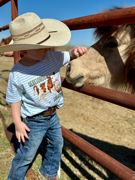 Hereforda Egg Hunt-bg stripe